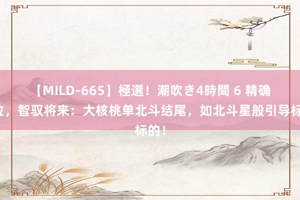 【MILD-665】極選！潮吹き4時間 6 精确定位，智驭将来：大核桃单北斗结尾，如北斗星般引导标的！