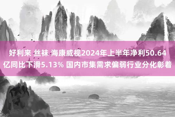 好利来 丝袜 海康威视2024年上半年净利50.64亿同比下滑5.13% 国内市集需求偏弱行业分化彰着