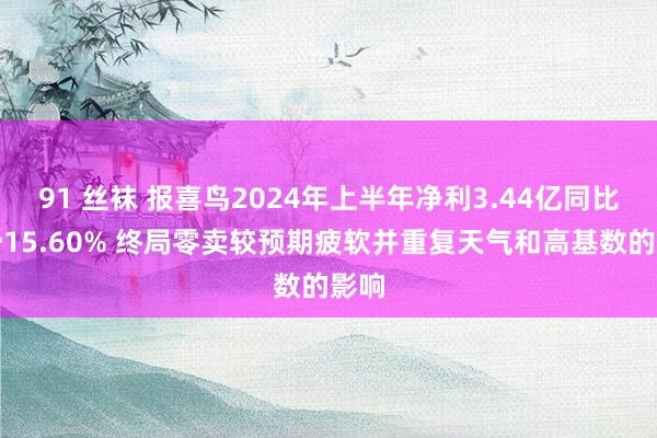 91 丝袜 报喜鸟2024年上半年净利3.44亿同比下滑15.60% 终局零卖较预期疲软并重复天气和高基数的影响