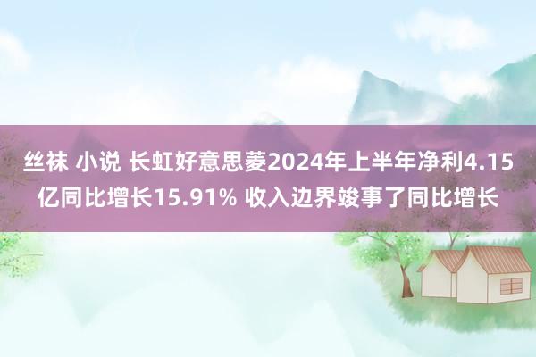 丝袜 小说 长虹好意思菱2024年上半年净利4.15亿同比增长15.91% 收入边界竣事了同比增长