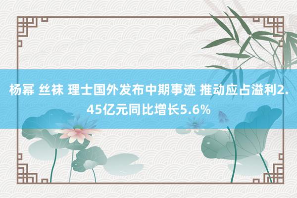 杨幂 丝袜 理士国外发布中期事迹 推动应占溢利2.45亿元同比增长5.6%