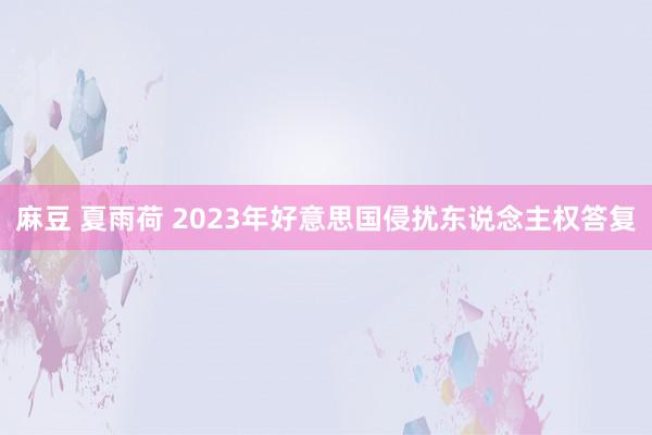 麻豆 夏雨荷 2023年好意思国侵扰东说念主权答复