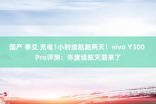 国产 拳交 充电1小时续航跑两天！vivo Y300 Pro评测：年度续航灭霸来了