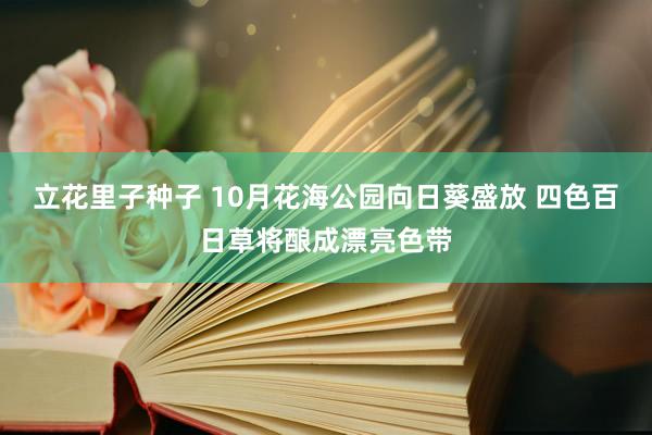 立花里子种子 10月花海公园向日葵盛放 四色百日草将酿成漂亮色带